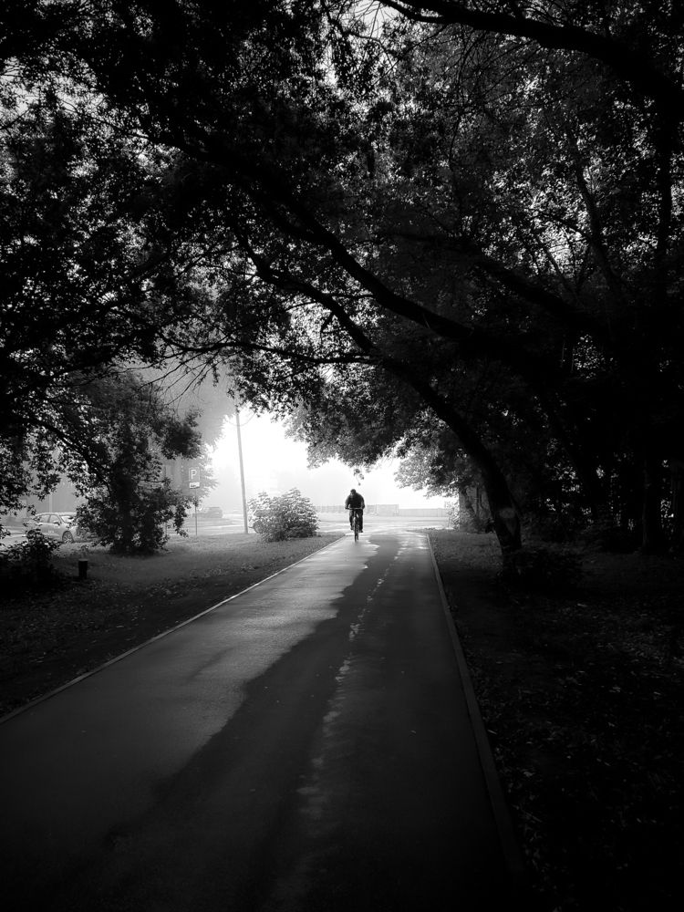 Photograph by Константин Шипицын