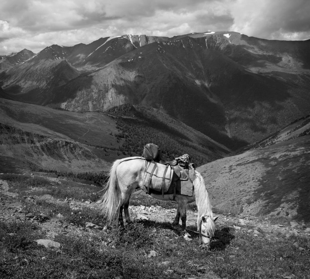 Фотография автора Кухта Мария