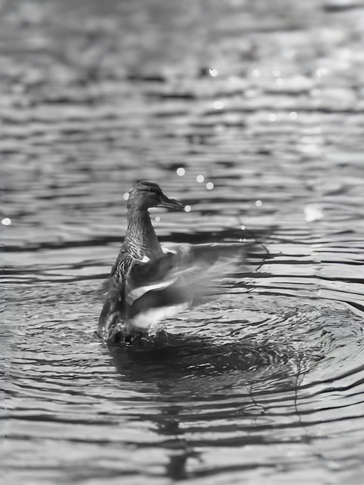 Photograph by Марина Опарина