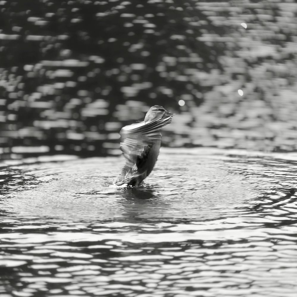 Photograph by Марина Опарина