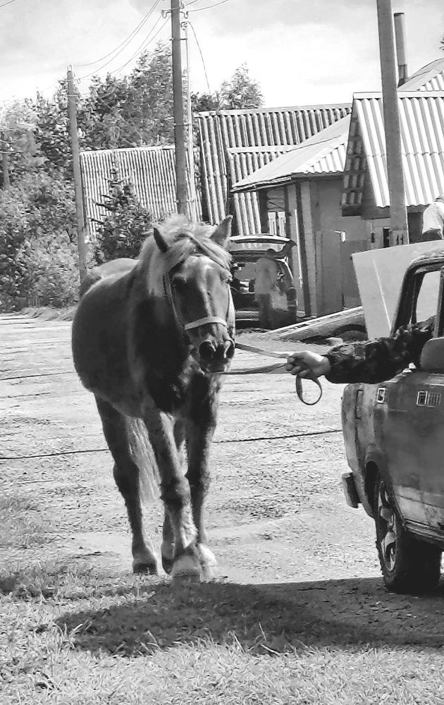 Фотография автора Ольга Лукьянова