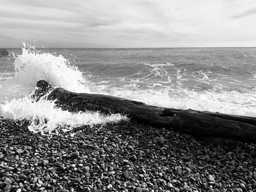 Photograph by Игорь Ребров