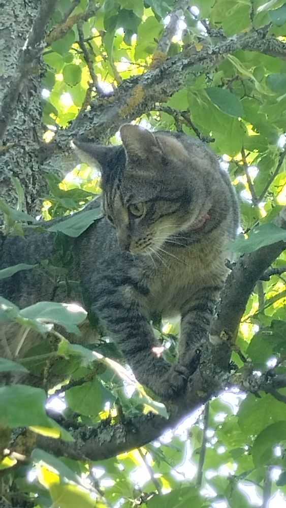 Photograph by Елена Малкова