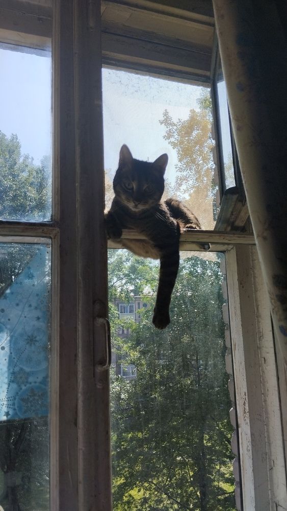 Photograph by Елена Малкова