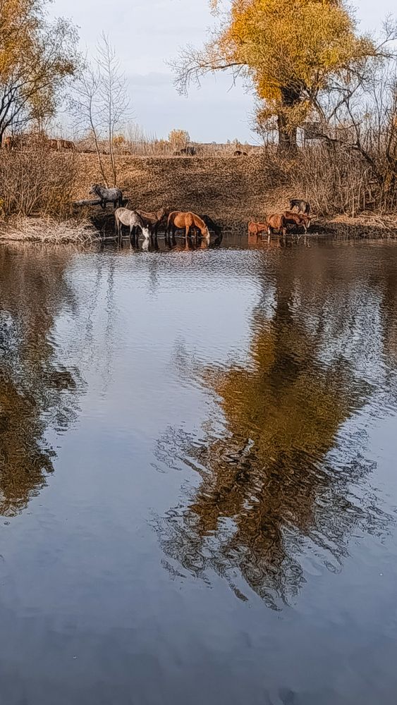 Photograph by Лариса Елисеева