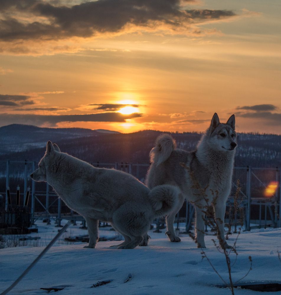 Photograph by Михаил Мархинин