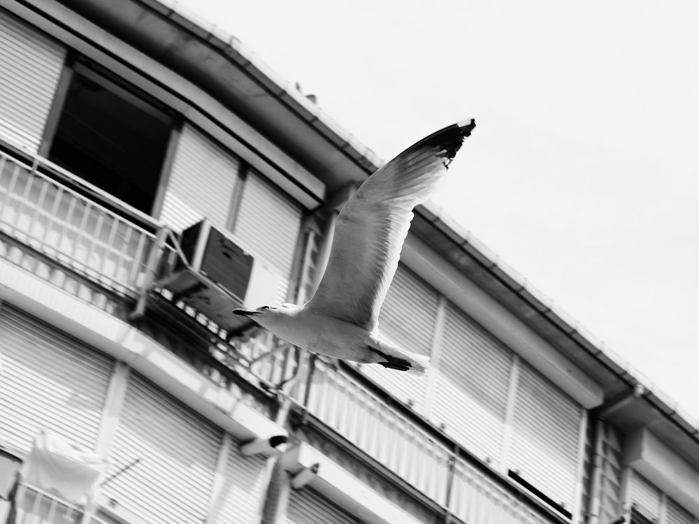 Photograph by Анастасия Васина