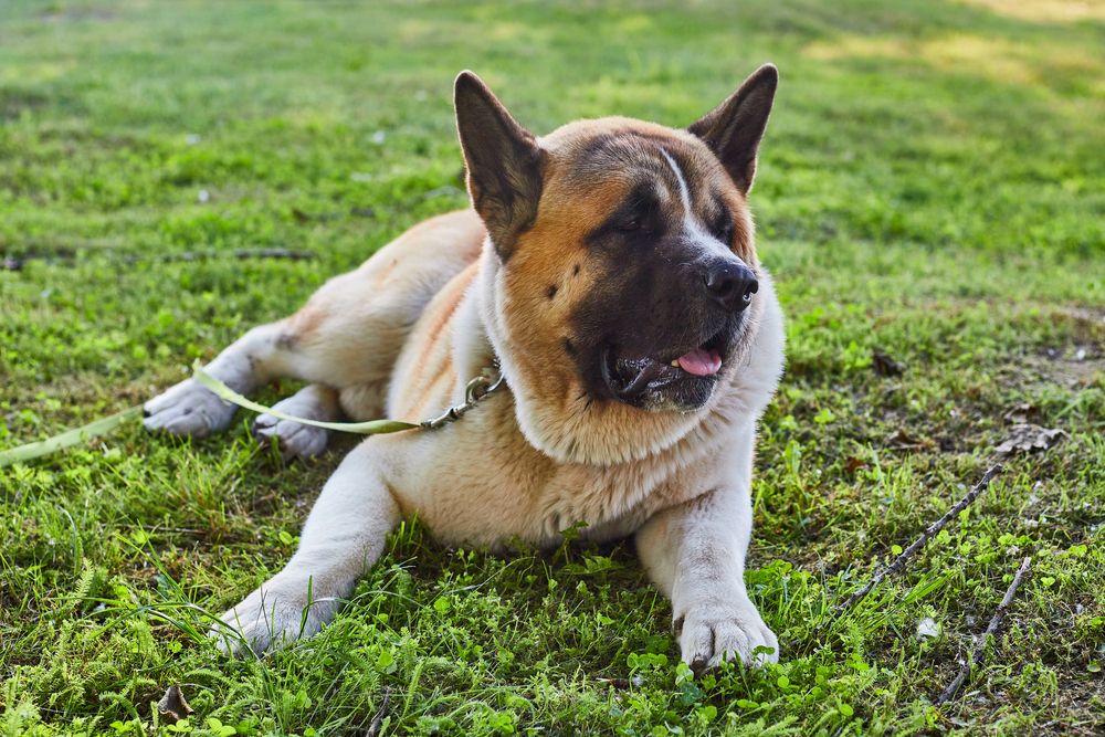 Photograph by Анастасия Васина