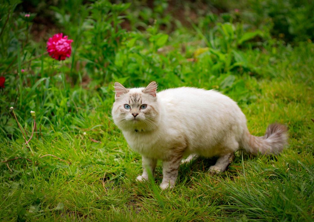 Photograph by Любовь Иванова