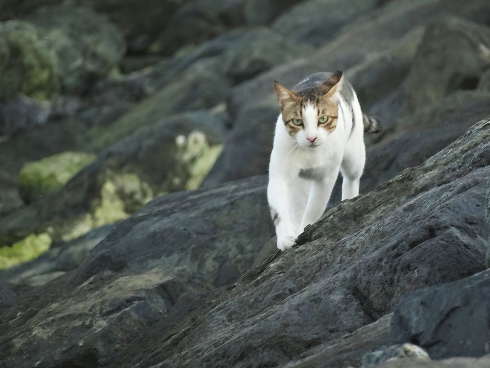 Photograph by Василь Гареев