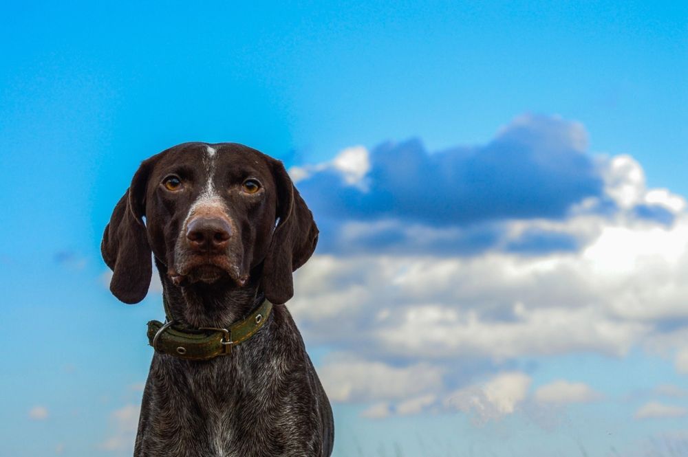 Photograph by Евгения Сапон