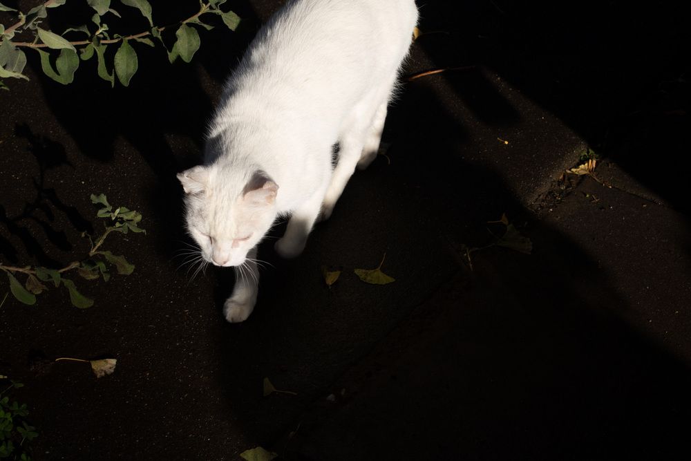 Photograph by Ekaterina Smirnova