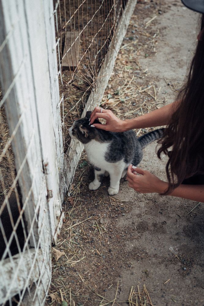 Photograph by Ekaterina Smirnova