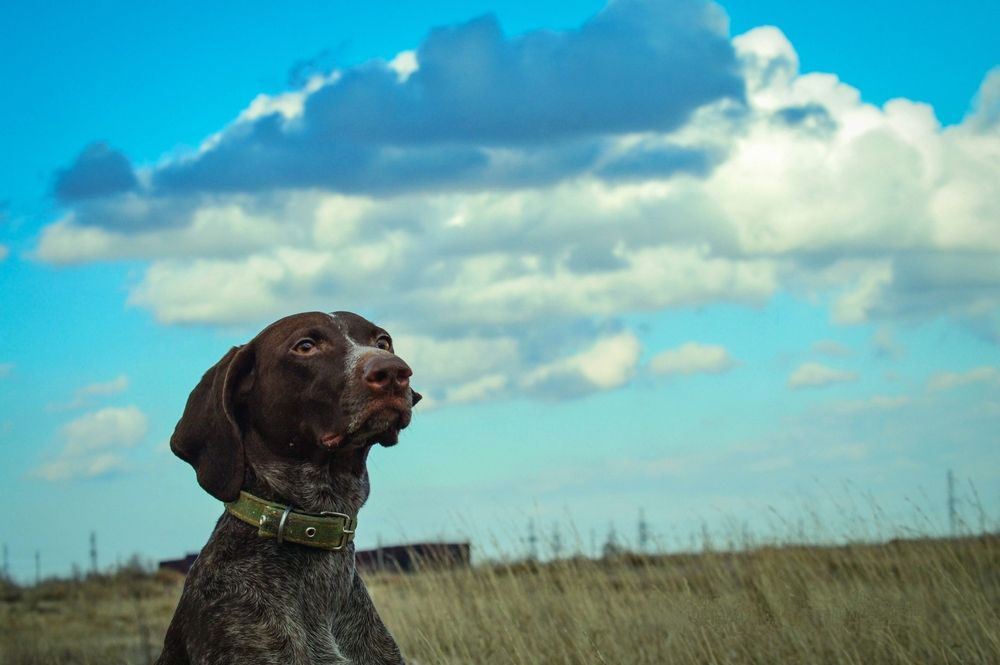 Photograph by Евгения Сапон