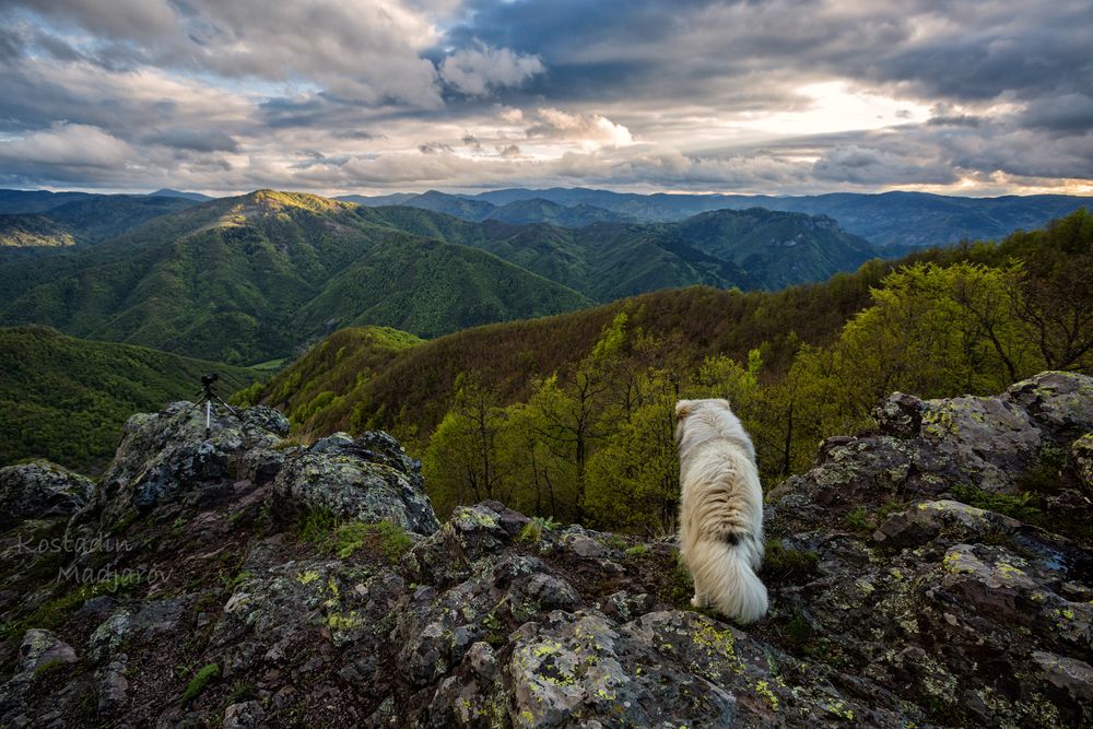 Photograph by Маджаров Костадин