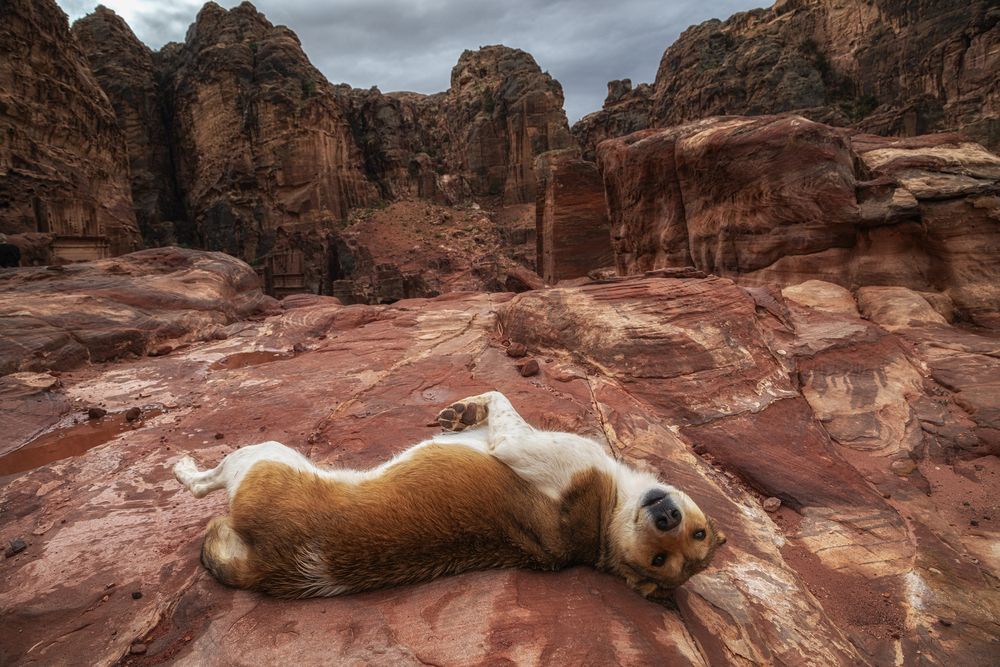 Photograph by Маджаров Костадин