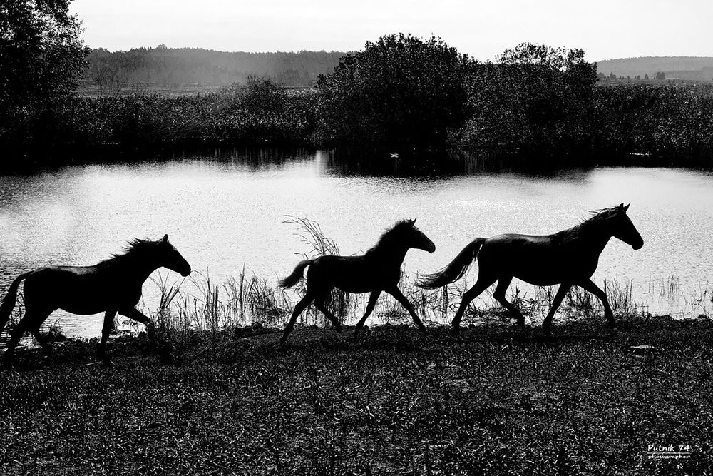 Photograph by Дмитрий Петренко