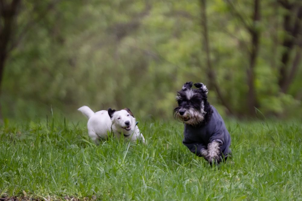 Photograph by Владимир Охрименко