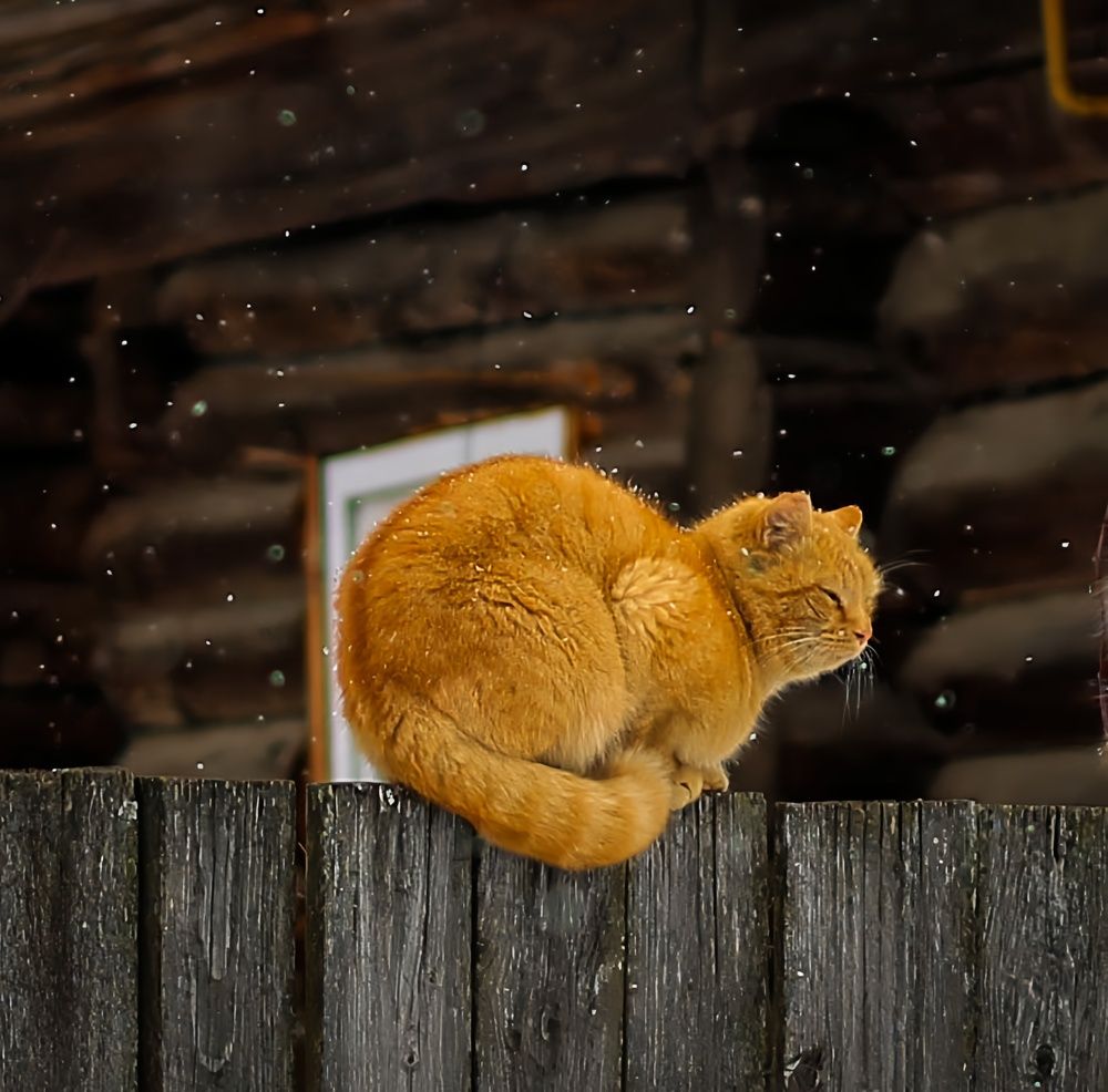 Photograph by Любовь Иванова