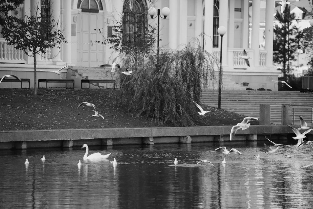 Фотография автора Татьяна Салиева