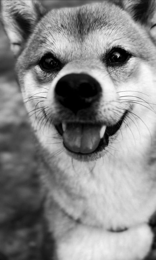 Фотография автора Mutsuaki