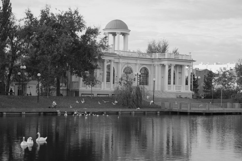 Лебединое озеро.