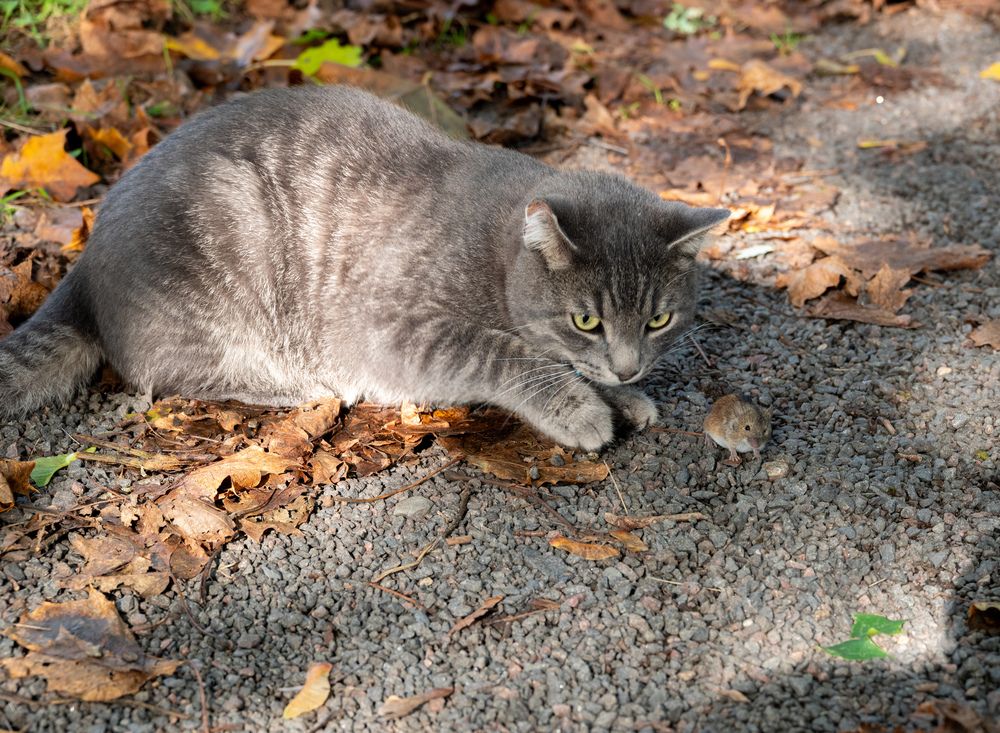 Photograph by Даниил Пузаков