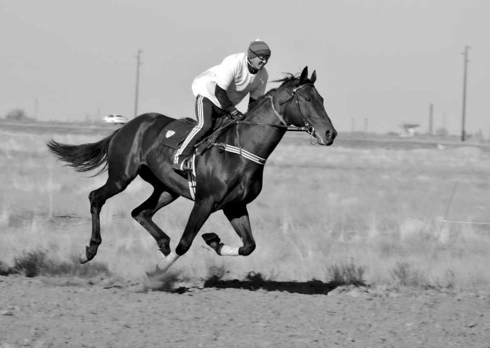 Photograph by Евгения Сапон