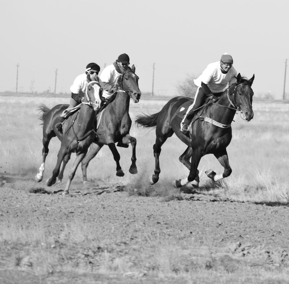 Photograph by Евгения Сапон