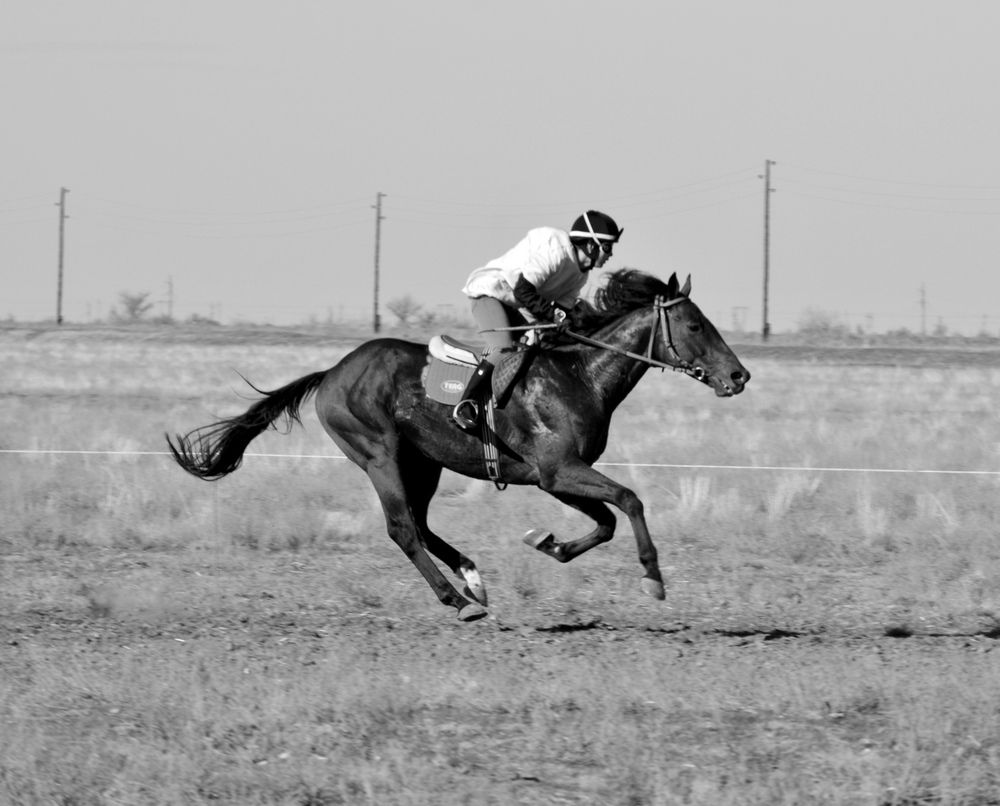 Photograph by Евгения Сапон