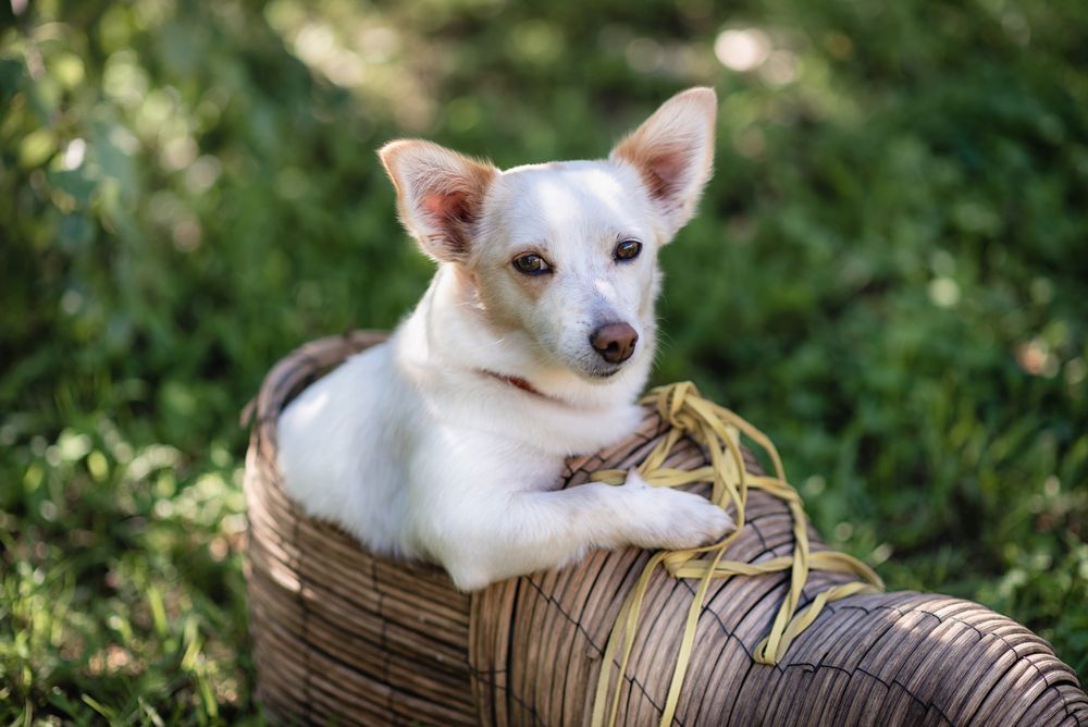 Photograph by Любовь Мызина