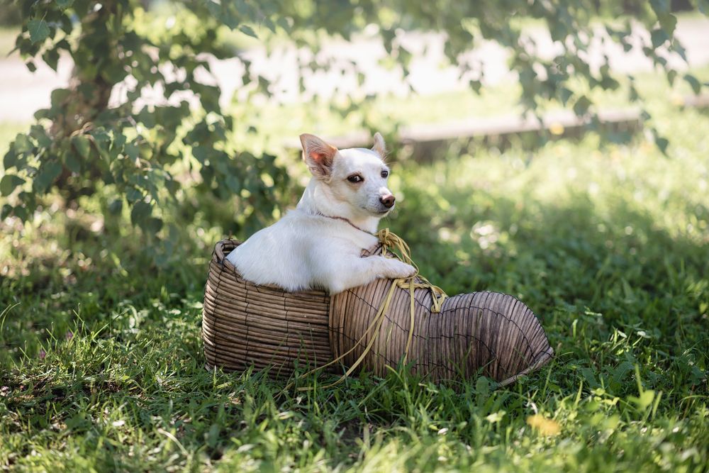 Photograph by Любовь Мызина