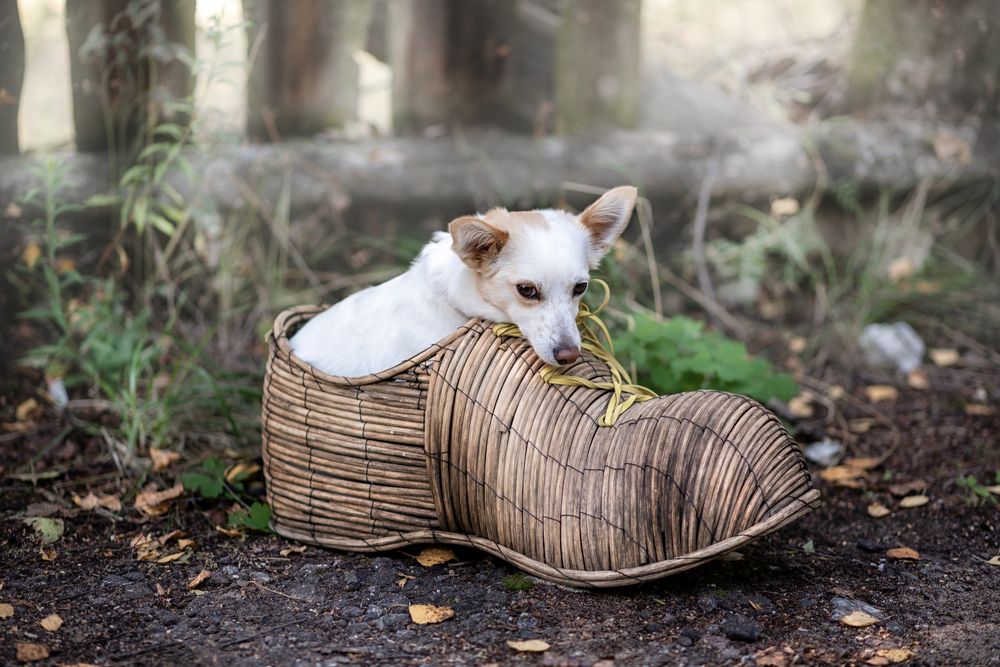 Photograph by Любовь Мызина