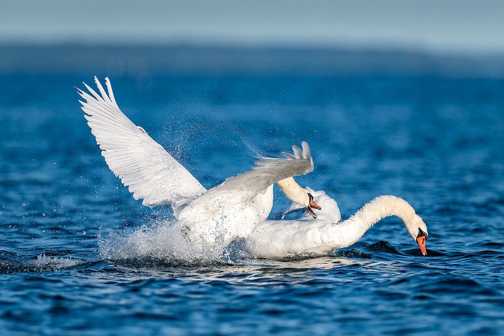 Photograph by Абросимов Александр