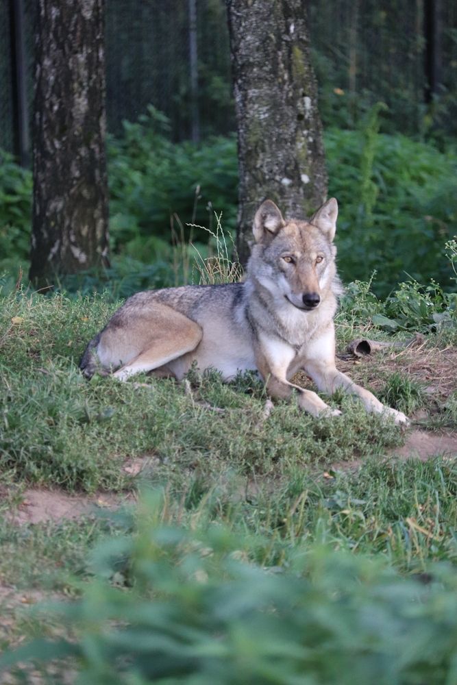 Photograph by Алексейчик Дмитрий