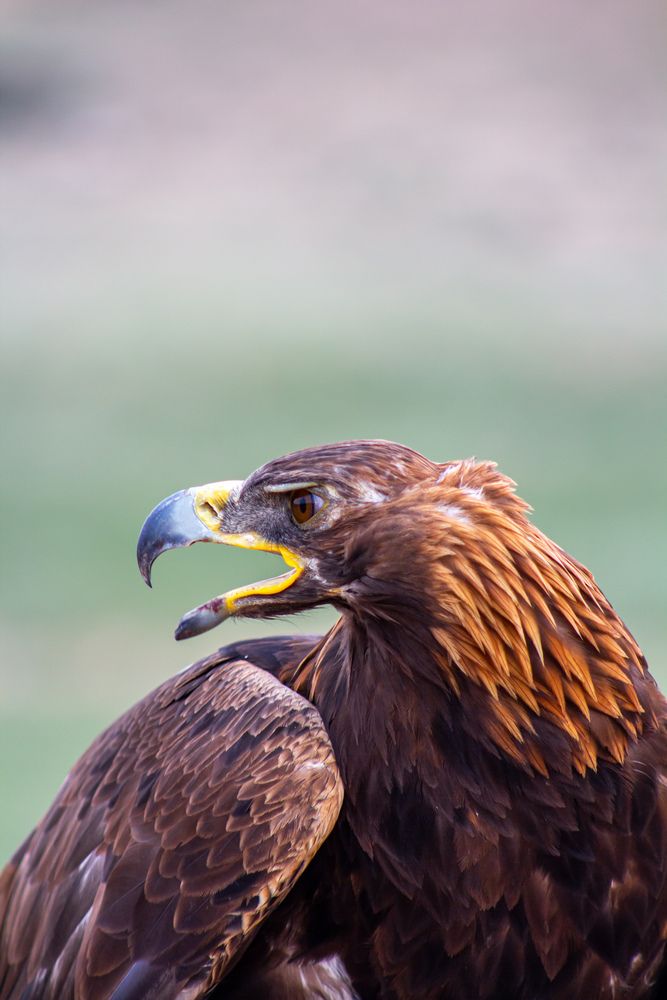 Фотография автора Денис Мартыновский