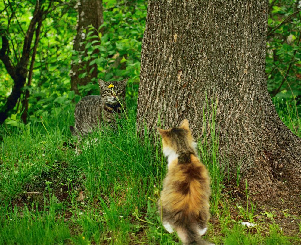 Photograph by Margarita