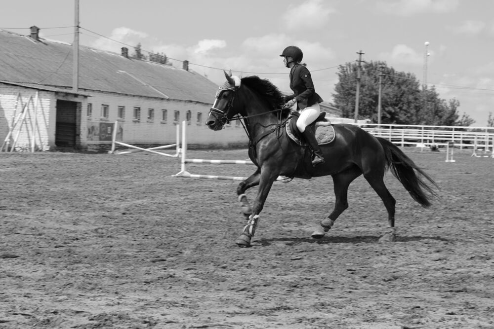 Photograph by Елена Коробченко