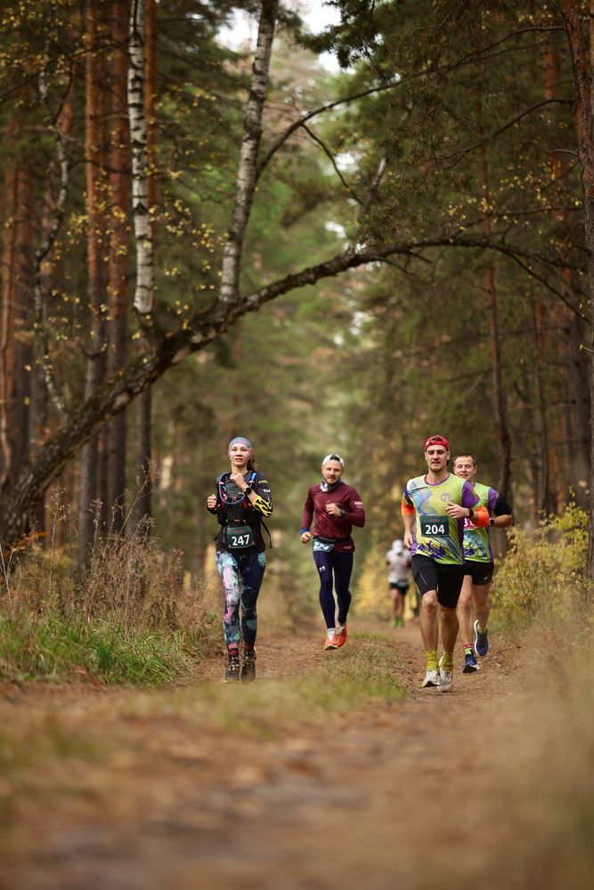 Фотография #12802743