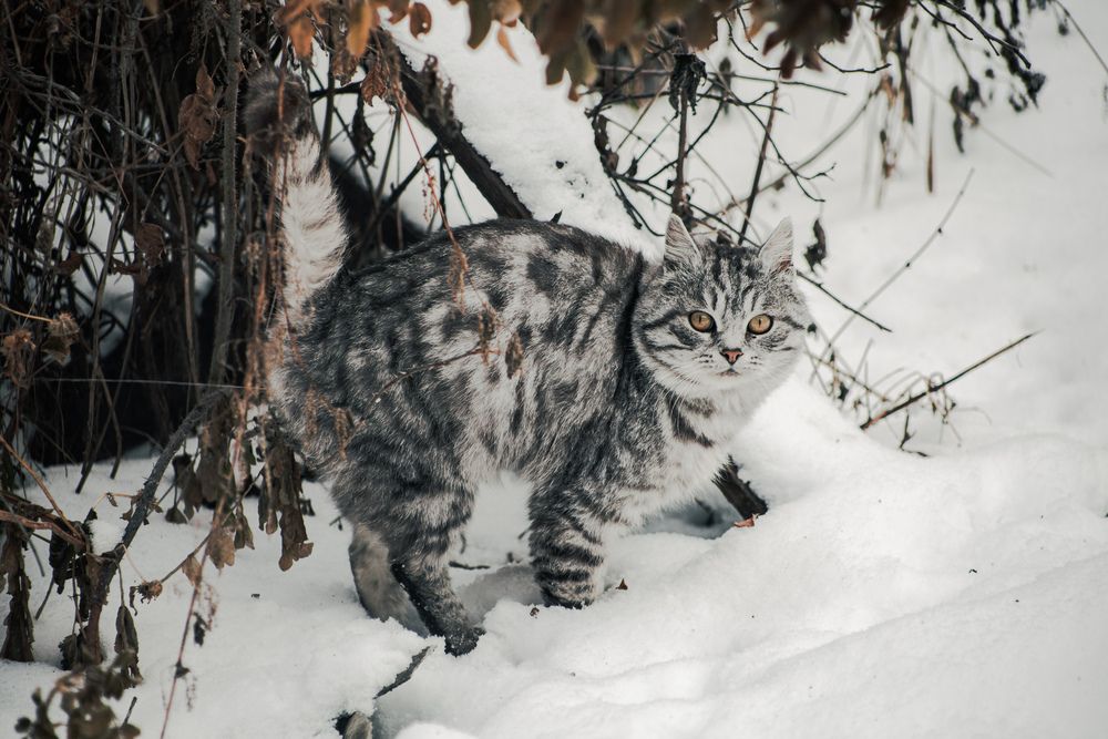 Photograph by Владимир Пилюков