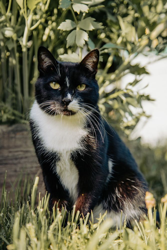 Photograph by Владимир Пилюков