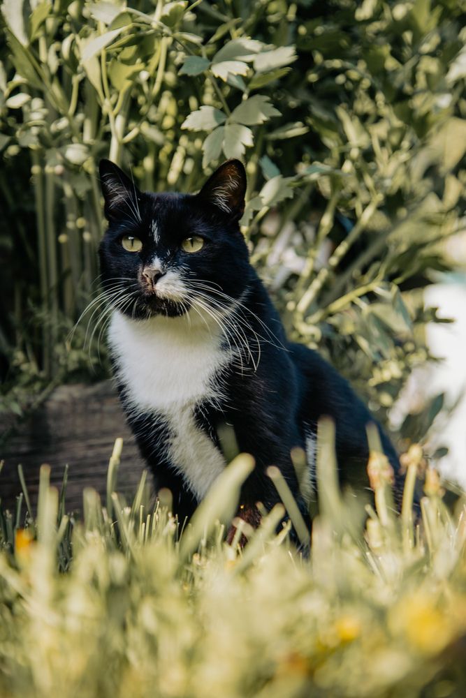 Photograph by Владимир Пилюков