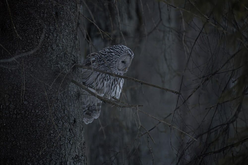 Photograph by Белов Александр