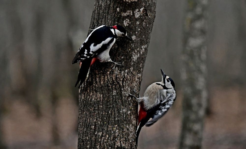 Photograph by Алексей Volg