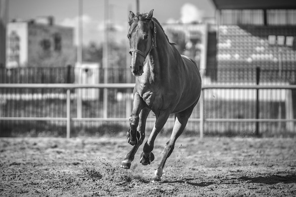 Фотография автора Helena Ivanova