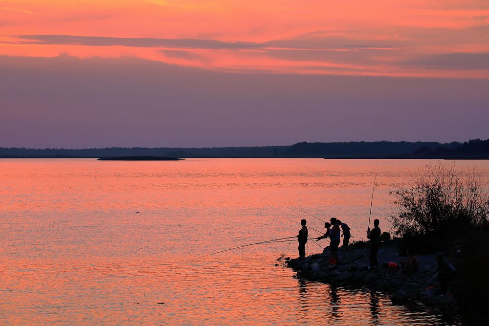 Photograph by Николай Протасеня