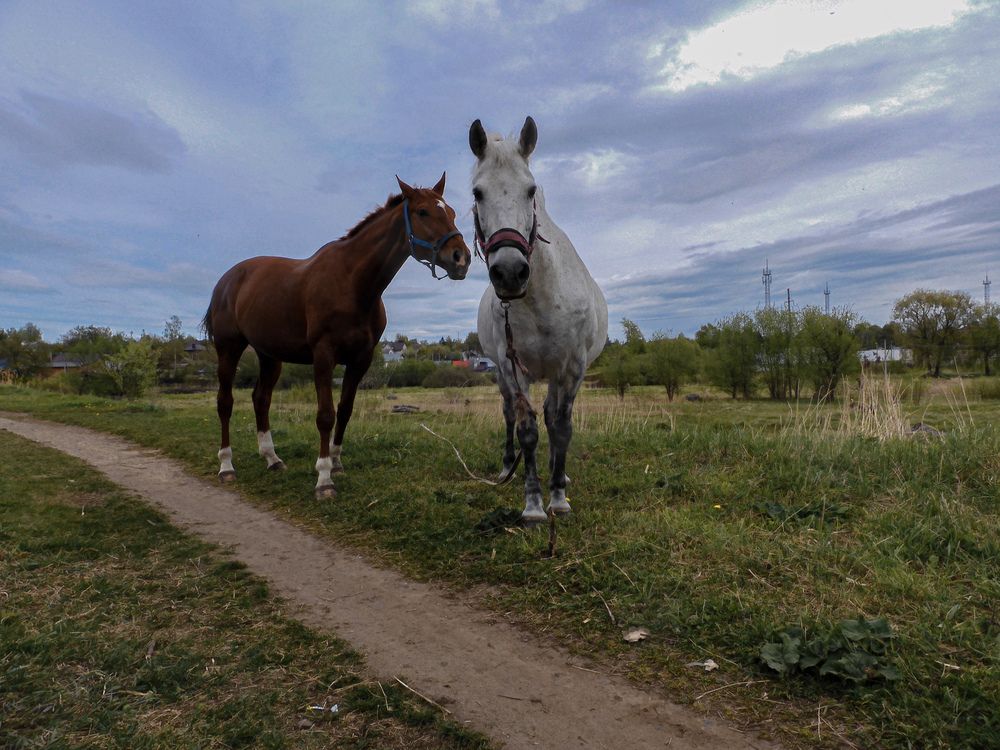 Photograph by Игорь Смирнов
