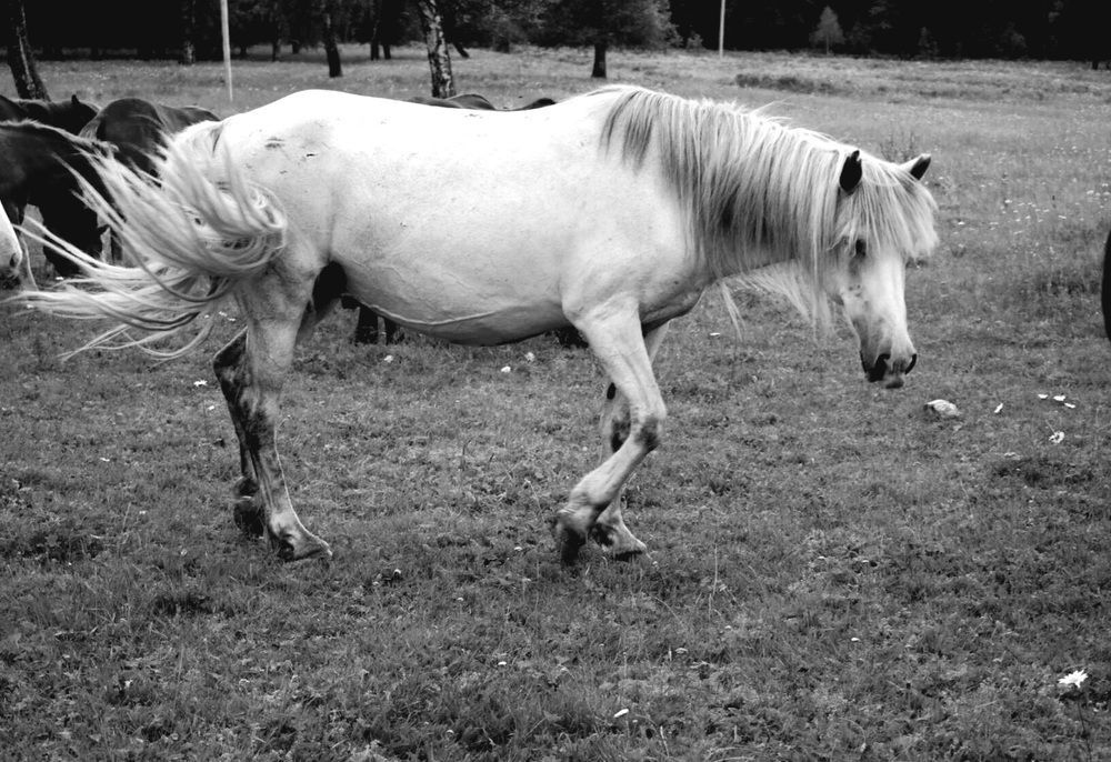 Photograph by Назмутдинова Сауия
