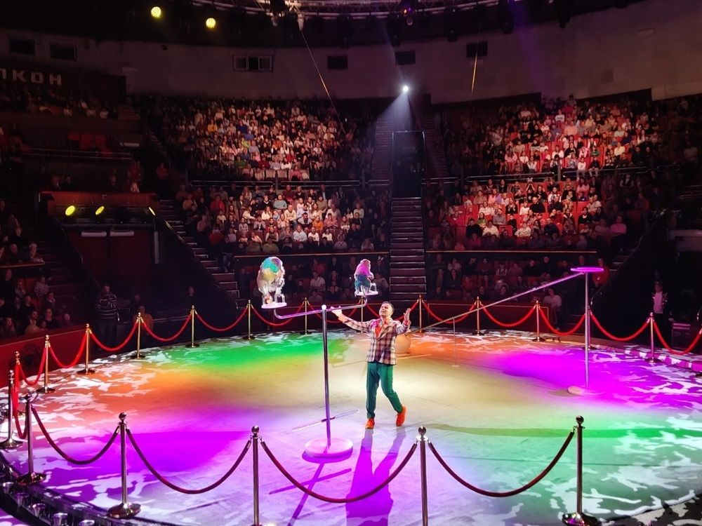 Photograph by Елена Сухорученкова