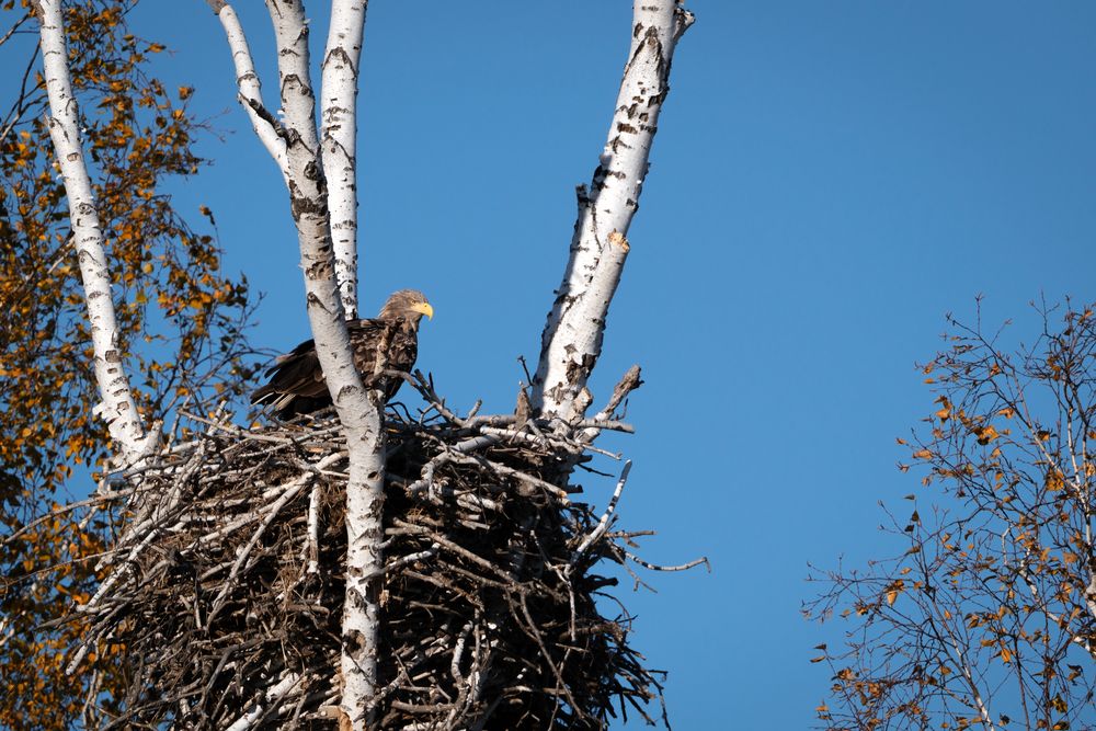 Photograph by Бодрягин Виталий